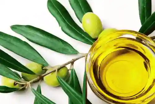 olive leaf extract